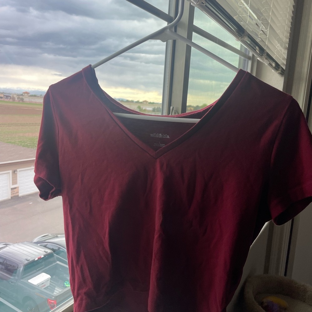 Maroon Crop Top